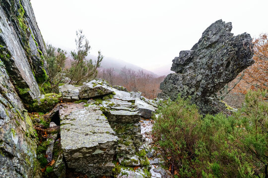 Rock and fog landscape in winter with rock formations.
