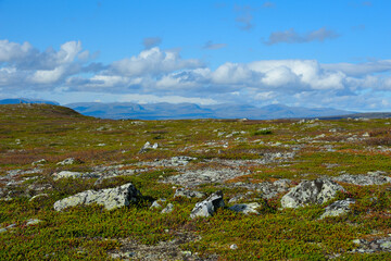 Am Canyon Evagraben, in einem Fjäll in Jämtlands län in Schweden.	
