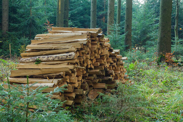 Ein Holzstapel mit gespaltenem Meterholz / Brennholz liegt in einem Wald (Holzwirtschaft)