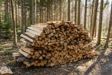 Holzwirtschaft: Gestapeltes Brennholz / Meterholz in einem hellen Nadelwald im Gegenlicht