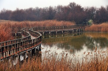 Pasarela sobre las riberas reflejadas en la orilla del agua en el Parque de Tablas de Daimiel 