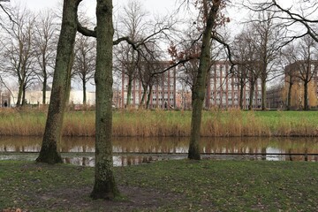 Canal and Trees in Amsterdam Erasmuspark with Buildings in the Background