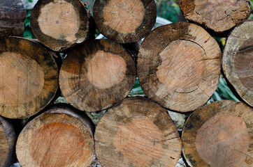 Fototapeta premium Sawed trees. Firewood. Sawmill. Wood texture.