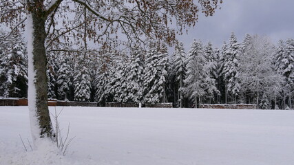 Winterlandschaft mit Brennholz