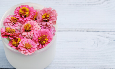 Pink Zinnia flower arrangement on white wood background for Mother's day bouquet floral card with copy space.