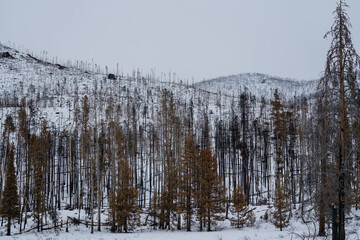Damage From The East Troublesome Fire