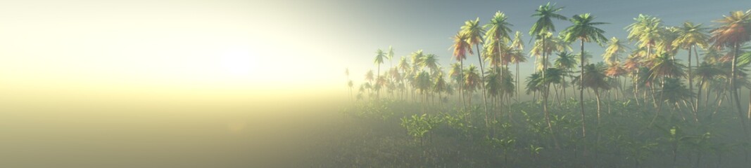 Obraz premium Palm trees at dawn in the sun, beach with palm trees in the fog, jungle in the haze, 3D rendering