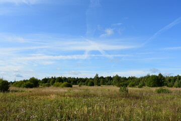 field and blue sky