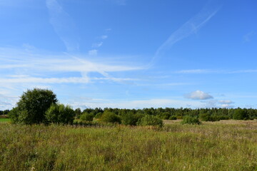 Fototapeta premium landscape with rainbow