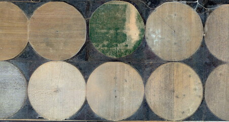 buying, United States, abstract photography of relief drawings in  fields in the U.S.A. from the...