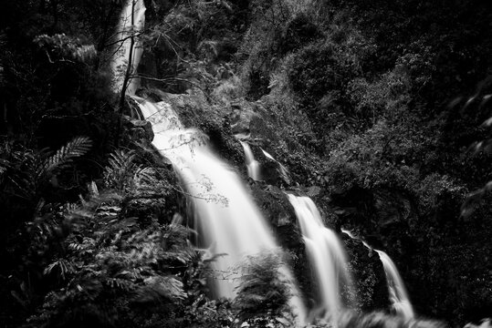 waterfall in the forest