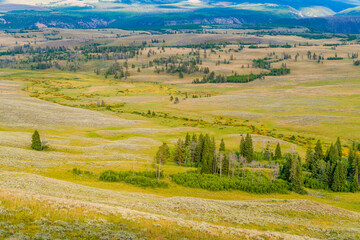 Fototapeta na wymiar Yellowstone plain view