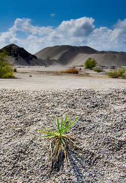 Toxic waste in Picher Oklahoma
