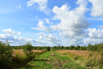 Fototapeta premium landscape with blue sky and clouds
