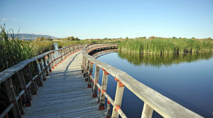 Fototapeta na wymiar Tablas de Daimiel National Park, Biosphere Reserve since 1981, Castilla la Mancha, Spain