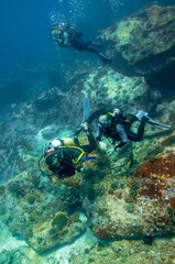Naklejka na ściany i meble Group of divers swimming close to the bottom reef