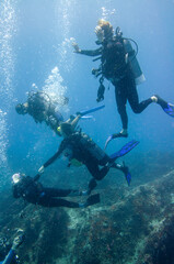 Fototapeta na wymiar Group of divers swimming close to the bottom reef