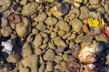 Natural river stony bottom, shallow riverbed during autumn weather on a Sunny day in a mountainous area.