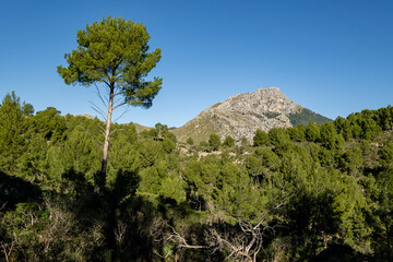 Puig de Galatzó, 1027 metros de altura,  Sierra de Tramuntana, Mallorca, Balearic Islands, Spain