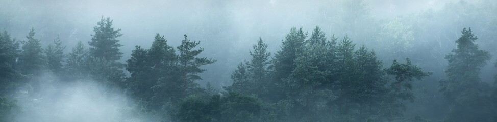 Tal des Gauja-Flusses und immergrüner Kiefernwald in Wolken aus dichtem mysteriösem Nebel bei Sonnenaufgang. Sigulda, Lettland. Atemberaubende Panorama-Luftaufnahme. Natur pur, Umweltschutz, Ökotourismus © Alex Stemmer