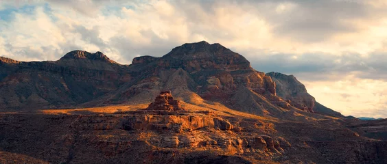 Aluminium Prints Deep brown Desert rocky canyon in Utah