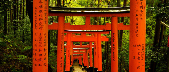 Fototapeta na wymiar Fushimi Inari Shrine gate, Shinto shrine in southern Kyoto.