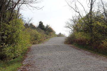 The long empty gravel country road on a sunny day.