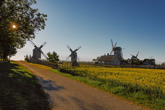 windmill in the field