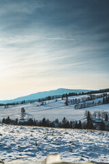 winter landscape in the mountains