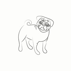 pug