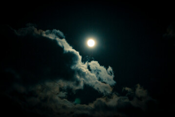 Moonlit night