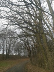 Idyllische Landschaft