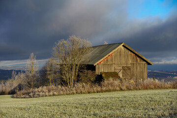 Obraz premium old barn in the field