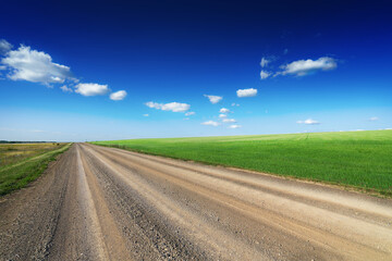 Fototapeta na wymiar A dirt road runs next to a green wheat field. Countryside. Blue sky and a few clouds. Off-road travel.