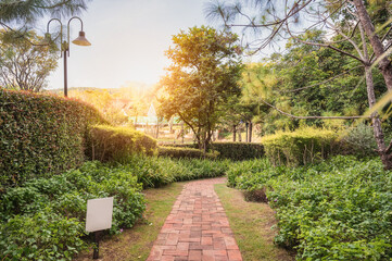 Landscaping green garden and brick pathway