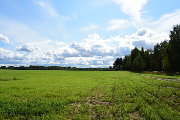 field and blue sky
