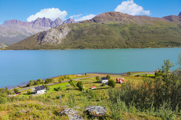 Fototapete bei efototapeten.de bestellen   