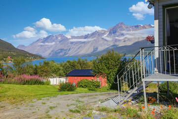 Fototapete bei efototapeten.de bestellen   