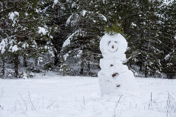 a stately snowman stands in the middle of the forest