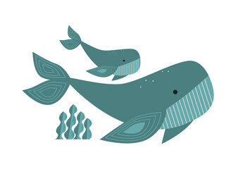 Whale drawn. Set of whales flat vector simple illustrations isolated on white background. Zero waste, recycle, nature, eco life concept. Undersea world logo.