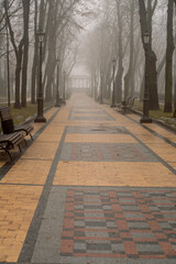 Peaceful walkway in the park during a cloudy autumn morning
