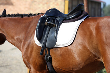 Old leather saddle with stirrups for show jumping race