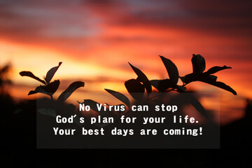 Inspirational quote - No virus can stop God's plan for your life. Your best days are coming. Words...
