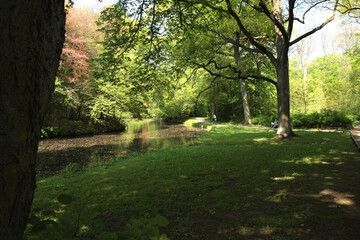 Der Bürgerpark in der Hansestadt Bremen. Deutschland, Europa ---
The public park in the Hanseatic...