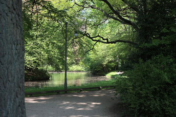 Der Bürgerpark in der Hansestadt Bremen. Deutschland, Europa ---
The public park in the Hanseatic...