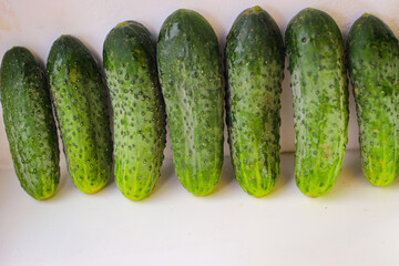 Several green cucumbers are displayed in a row on a white background