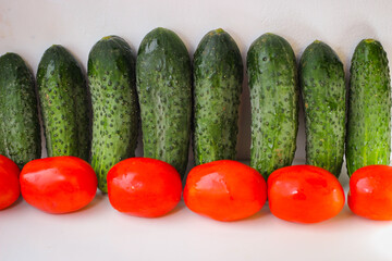 Several green cucumbers and red tomatoes are stay in a rows on a white background