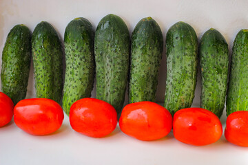 Several green cucumbers and red tomatoes are stay in a rows on a white background