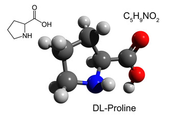 Chemical formula, skeletal formula and 3D ball-and-stick model of DL-proline, a nonessential amino acid