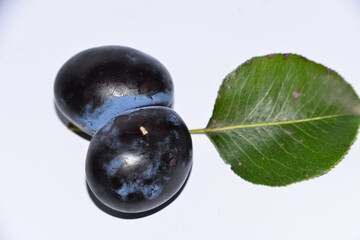 currant berries